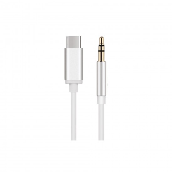 Sunix AC-06 Type-C to Aux